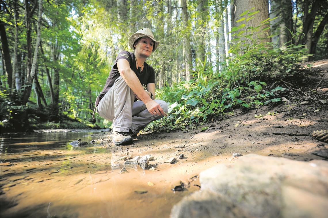 Astrid Szelest schaut am Ufer der Lein nach Spuren. Entlang der Lebensader, die im Welzheimer Wald entspringt und Wasser und Kühle spendet, gibt es wunderbar idyllische Plätzchen. Fotos: A. Becher