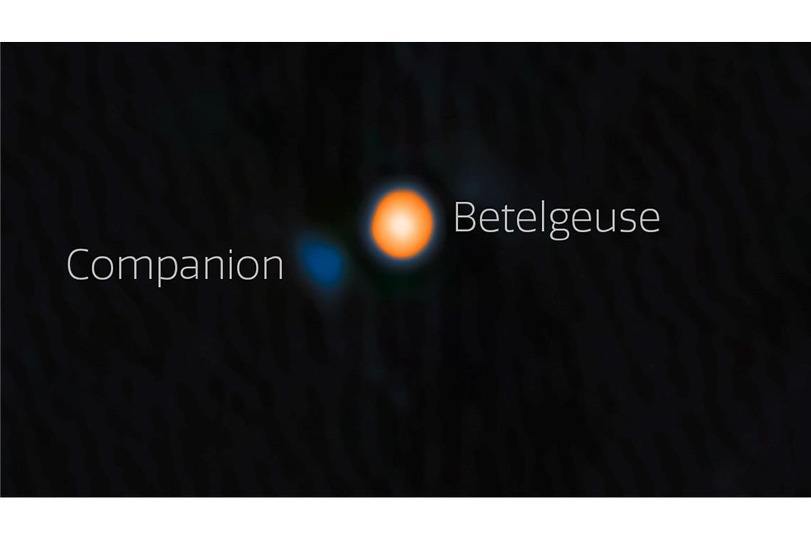 Astronomen haben wahrscheinlich einen Begleitstern von Beteigeuze (englisch: Betelgeuse) entdeckt. Der Begleitstern erscheint hier blau.