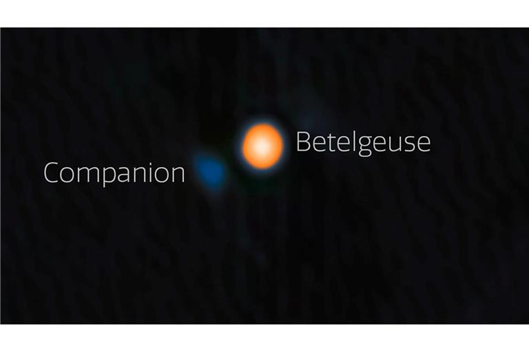 Astronomen haben wahrscheinlich einen Begleitstern von Beteigeuze (englisch: Betelgeuse) entdeckt. Der Begleitstern erscheint hier blau.