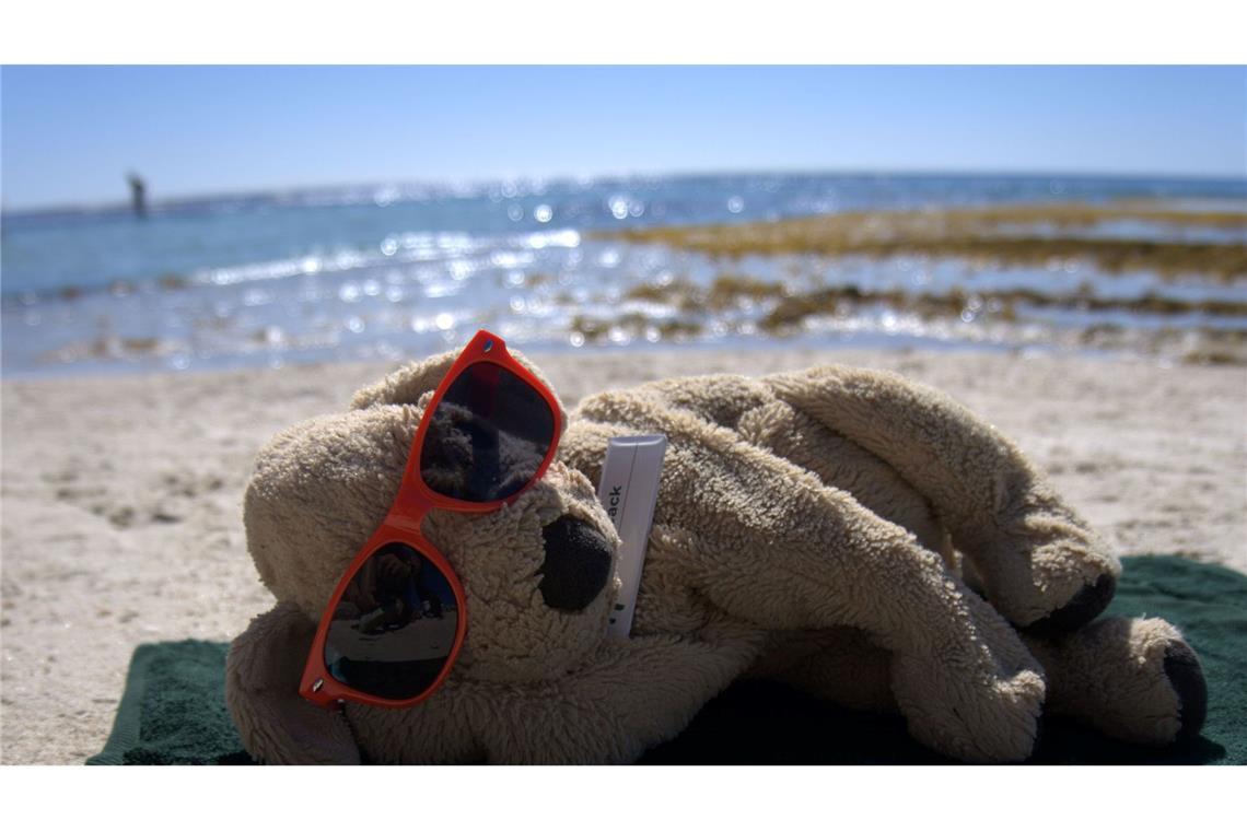 Auch am Strand durfte sich Jack schon sonnen.
