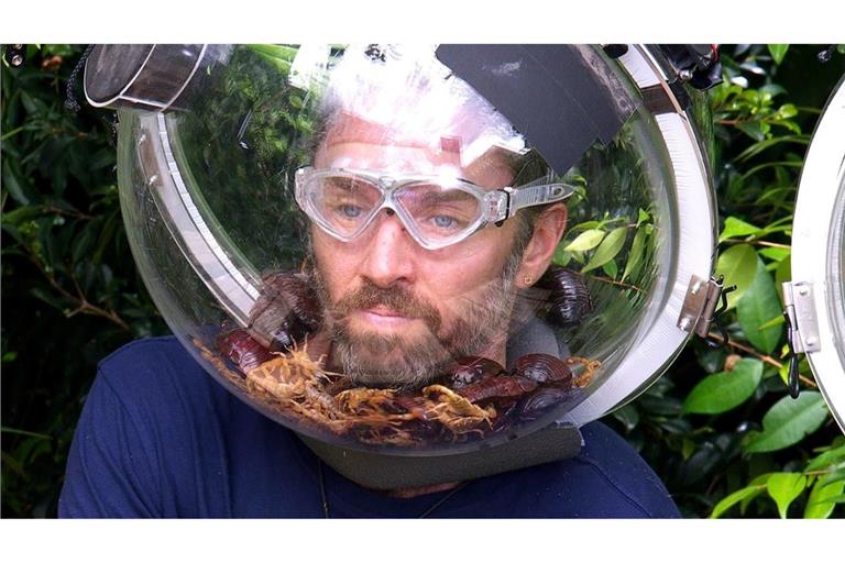 Auch das krabbeligste Getier konnte ihn nicht stoppen: Musiker Gil Ofarim ist Dschungelkönig. (Handout)