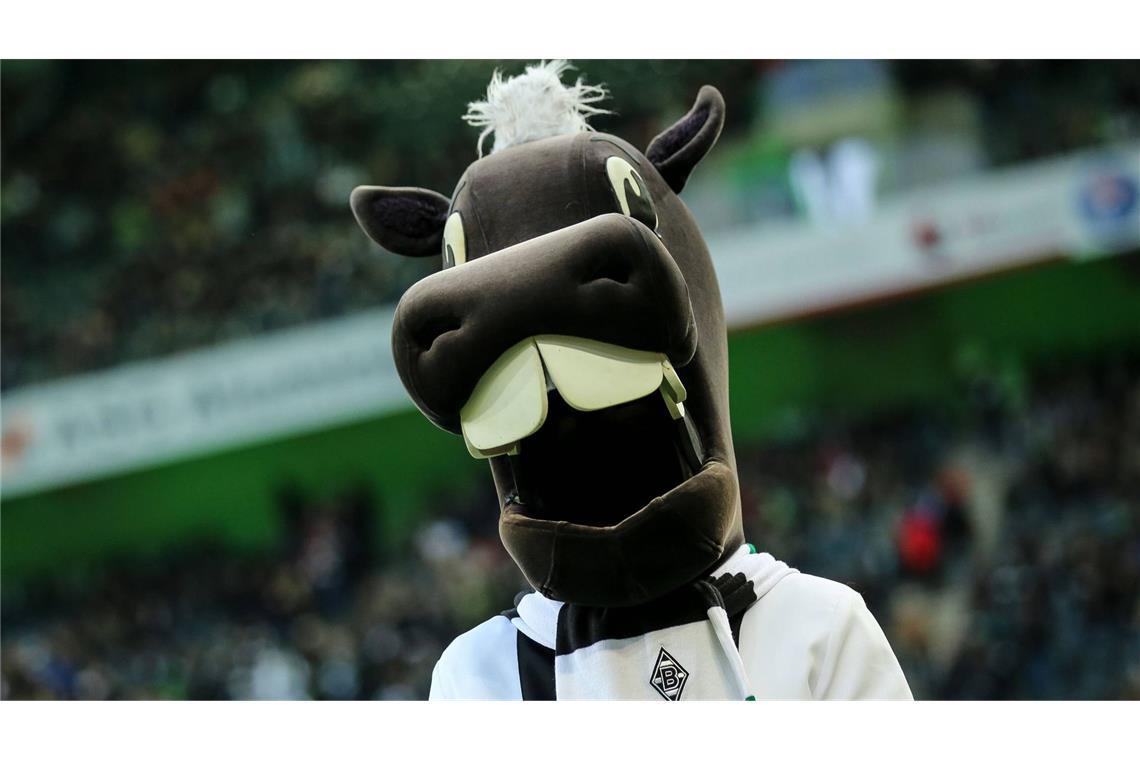 Auch der Kölner Erzrivale Borussia Mönchengladbach hat ein Maskottchen mit Kultcharakter: Der Fohle Jünter ist eine Hommage an Vereinsikone Günter Netzer, dessen rheinische Aussprache namensgebend war.