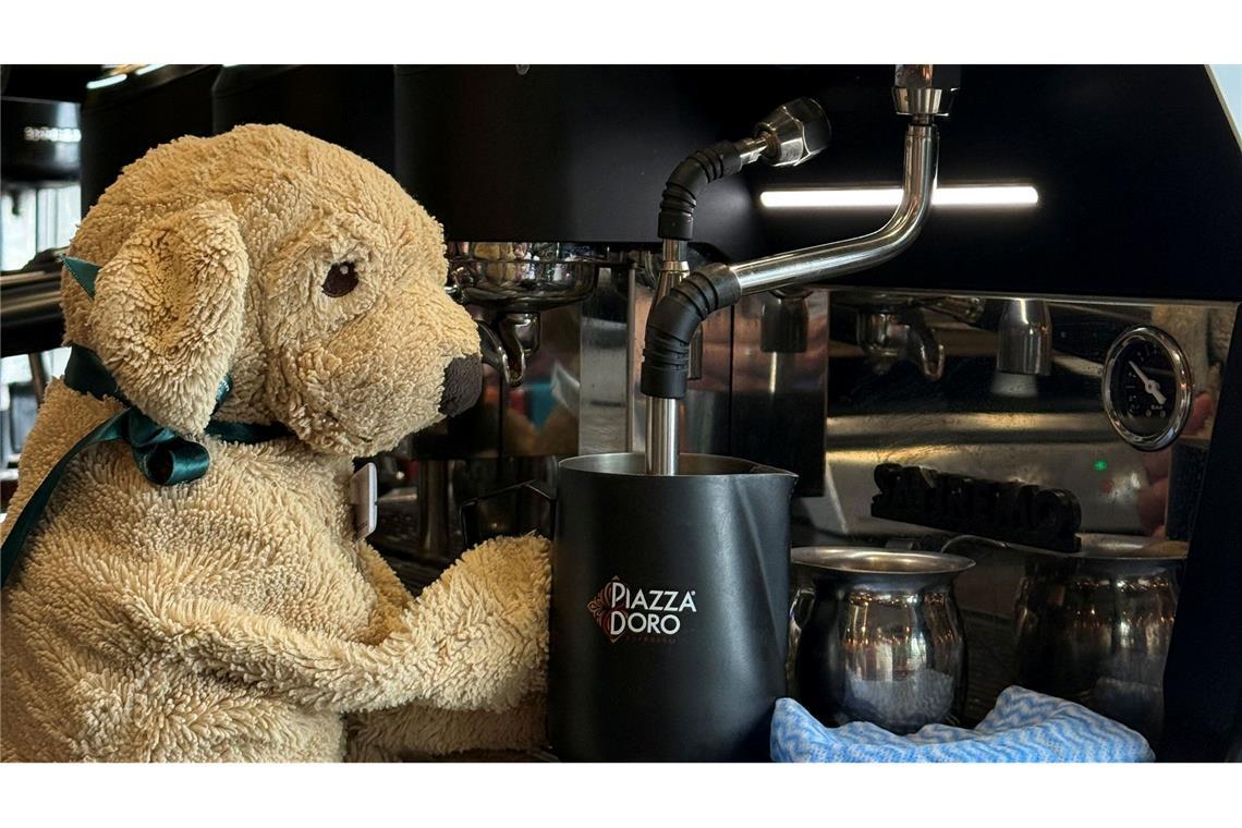 Auch die Espresso-Maschine weiß Jack bereits zu bedienen, sagt die Belegschaft.
