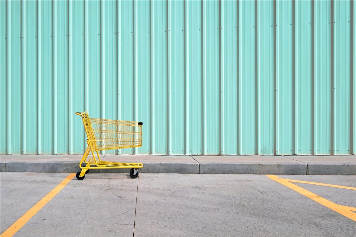 Auch ein Einkaufswagen kann ein „Stillleben als Kunstform“ sein. Foto: Heike Kelm