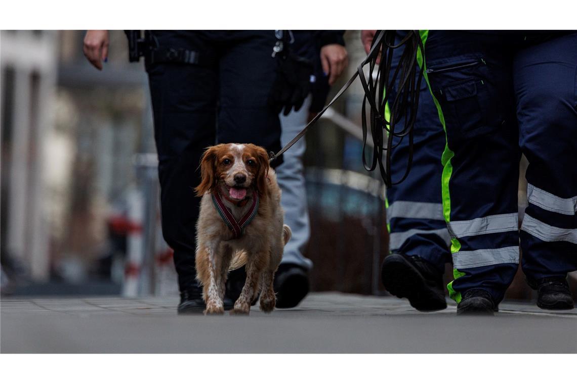 Auch ein Hund war bei der Suche im Einsatz.