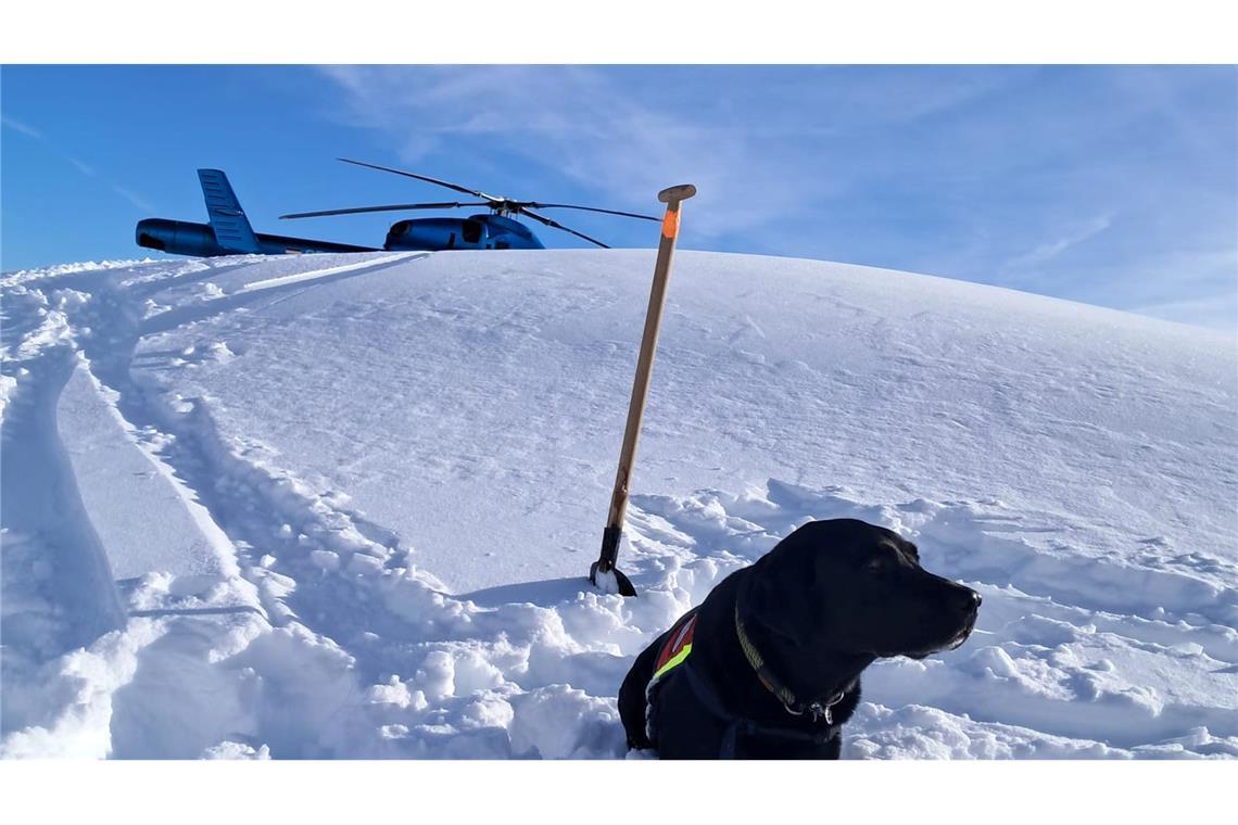 Auch Hunde waren nach dem Lawinenabgang am Finsterkopf im Einsatz.