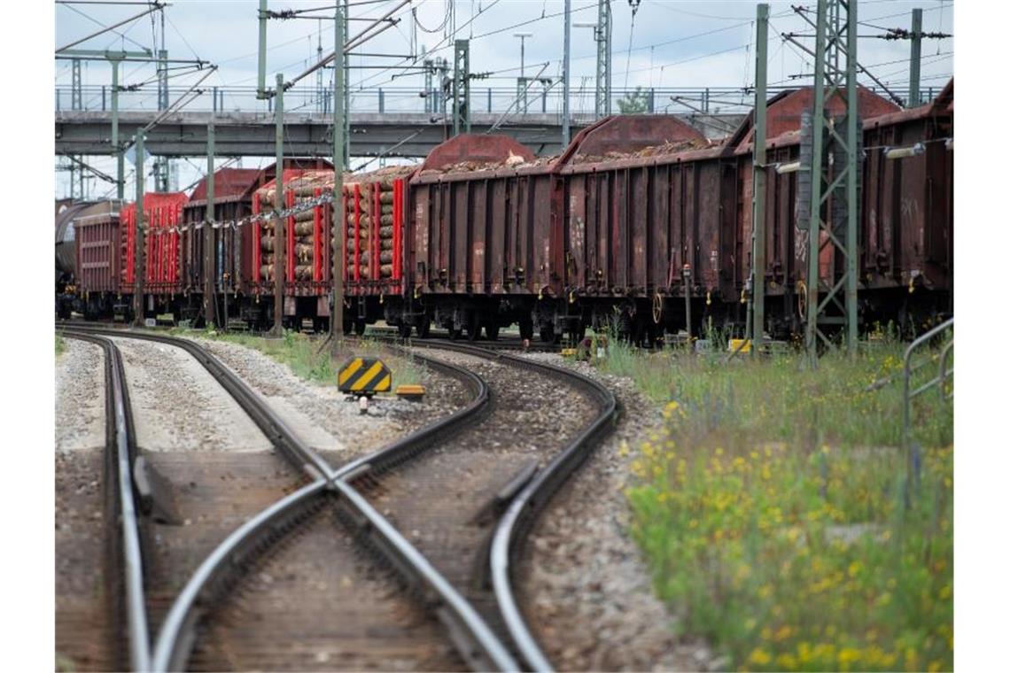 Auch im Güterverkehr gab es in Deutschland im vergangenen Jahr Verluste für die Schiene. Foto: Sven Hoppe/dpa/Archivbild