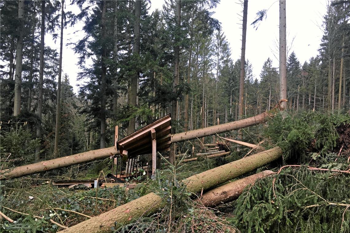 Im Wald ist weiterhin Obacht geboten Auch in dem Gebiet rund um den Trimm-dich-Pfad in Murrhardt tobte der Orkan. Eine der Stationen wurde völlig zerstört. Foto: D. Seitz
