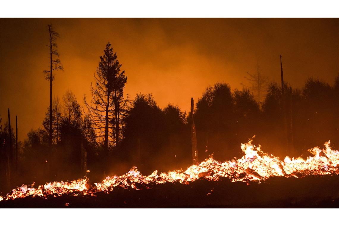 Auch in Europa – wie hier in Thüringen – kommt es immer häufiger zu Waldbränden.
