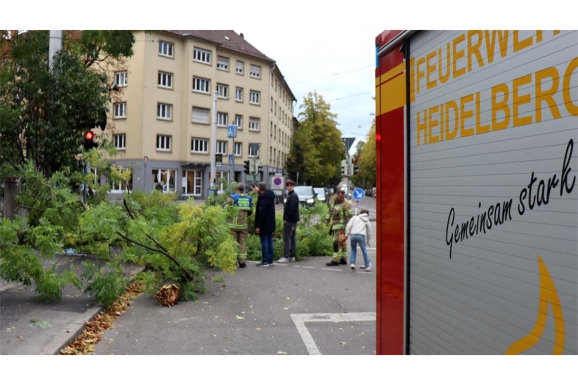 Auch in Heidelberg wurden Bäume entwurzelt.