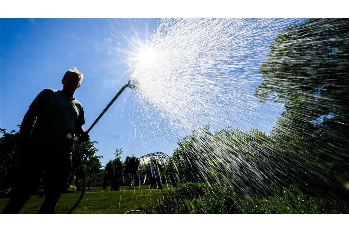 Monate fast ohne Regen - Droht ein schlimmer Dürresommer? Auch in manchen Gärten ist der Wasserbedarf schon groß.