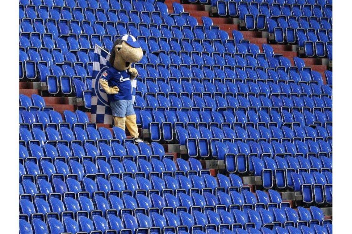 Auch Schalkes Maskottchen Erwin wirkte nach dem Schlusspfiff frustriert. Foto: Leon Kuegeler/Reuters/Pool/dpa