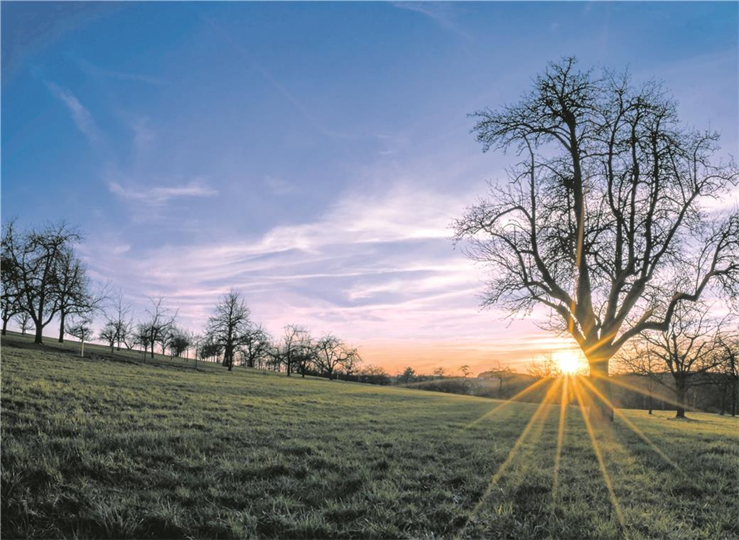 Sieg für stimmungsvollen Sonnenuntergang AUENWALD (flo). Mit einem stimmungsvollen Sonnenuntergang hat Bettina Reule den Fotowettbewerb „Meine Heimat Burgstetten“ für sich entscheiden können. Die Hobbyfotografin hatte sich mit zwei Bildern am Wettbewerb beteiligt, die sie beide an einem sehr kalten Abend im März dieses Jahres auf einer Streuobstwiese am Rande Burgstalls geschossen hat. Die Winnenderin war bereits beim Fotowettbewerb „Meine Heimat Auenwald“ erfolgreich, damals mit dem Motiv „Ballonstart in den Abendstunden“. Die siegreiche Fotografin Bettina Reule erhält einen Scheck über 50 Euro. Und auch diejenigen Leser, die sich an unserem Wettbewerb beteiligt und über die Fotos abgestimmt haben, werden belohnt. Unter ihnen wurden drei glückliche Gewinner ausgelost: Marianne Brenner (Erbstetten), Herlinde Wolf (Auenwald-Ebersberg) und Christel Braun (Backnang-Heiningen). Die Gewinner erhalten jeweils zwei Karten für das Backnanger Universum-Kino. Herzlichen Glückwunsch.