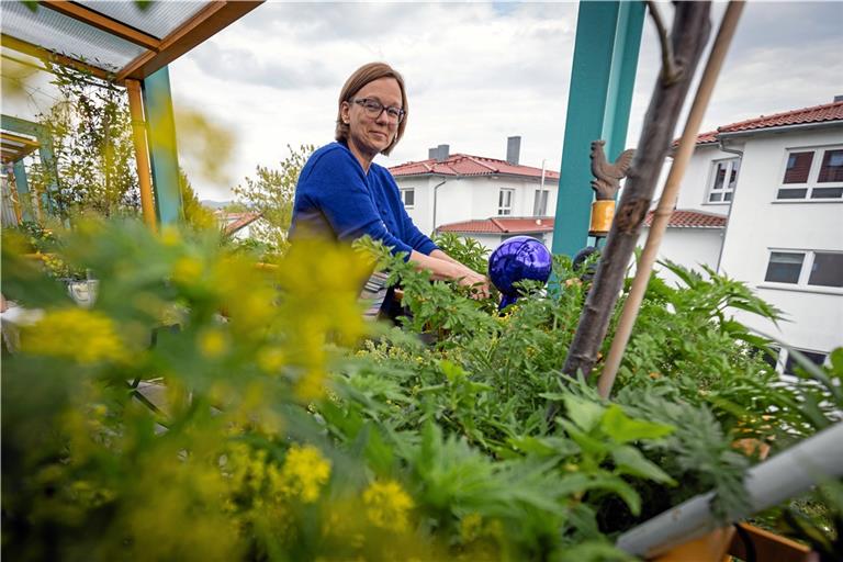 Auf dem Balkon von Birgit Heuckeroth beginnt es um diese Jahreszeit wieder zu blühen, zu summen und zu duften. Fotos: Alexander Becher
