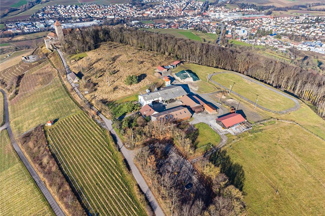 Auf dem Gelände des ehemaligen Islandponyhofs sollen die Legehennenställe bei der Burg Lichtenstein entstehen. Foto: K. Schmalz