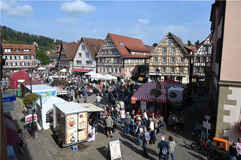 Auf dem Murrhardter Marktplatz herrscht am Sonntagnachmittag ordentlich Betrieb. Foto: Elisabeth Klaper