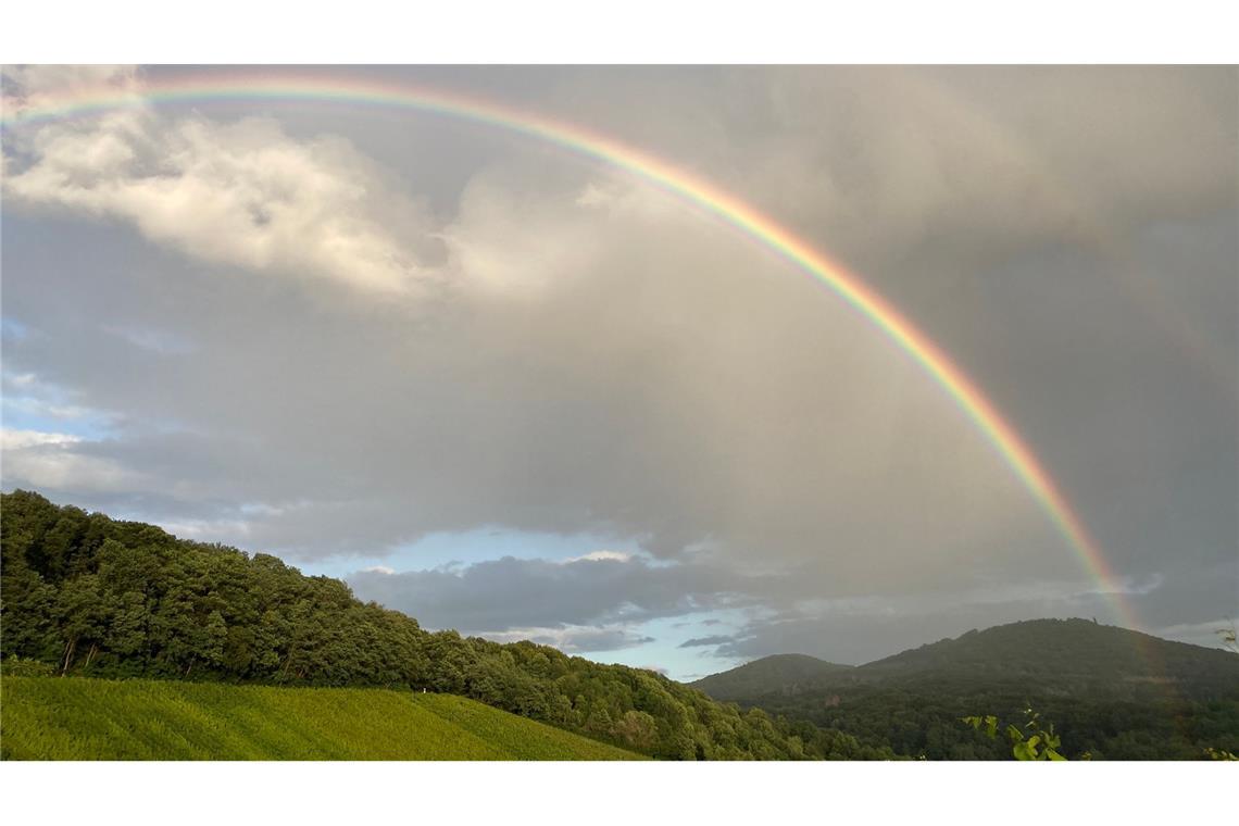 Auf dem Petersberg bei Bonn wurden früher die Gäste der Bundesregierung untergebracht - die Bonner Republik wird in der Rückschau oft verklärt. (Archivbild)
