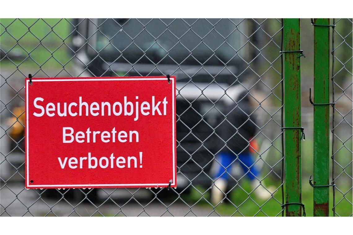 Auf dem Pommernhof in Zarnewanz im Landkreis Rostock ist die Vogelgrippe auch bekannt als Geflügelpest ausgebrochen. Über 13 000 Enten mussten hier getötet werden.