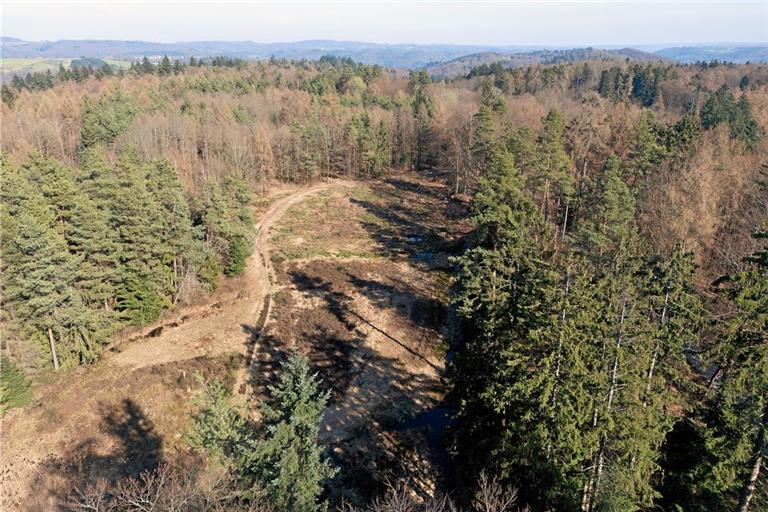 Auf der Amalienhöhe könnten sich eines Tages Windräder drehen. Ob eine Entscheidung darüber schon in diesem Sommer gefällt wird, wie zuletzt angenommen, ist angesichts der korrekturbedürftigen Regionalplanung allerdings fraglich. Das antragstellende Unternehmen erwägt ein Zielabweichungsverfahren. Foto: Alexander Becher