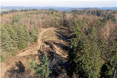 Auf der Amalienhöhe könnten sich eines Tages Windräder drehen. Ob eine Entscheidung darüber schon in diesem Sommer gefällt wird, wie zuletzt angenommen, ist angesichts der korrekturbedürftigen Regionalplanung allerdings fraglich. Das antragstellende Unternehmen erwägt ein Zielabweichungsverfahren. Foto: Alexander Becher