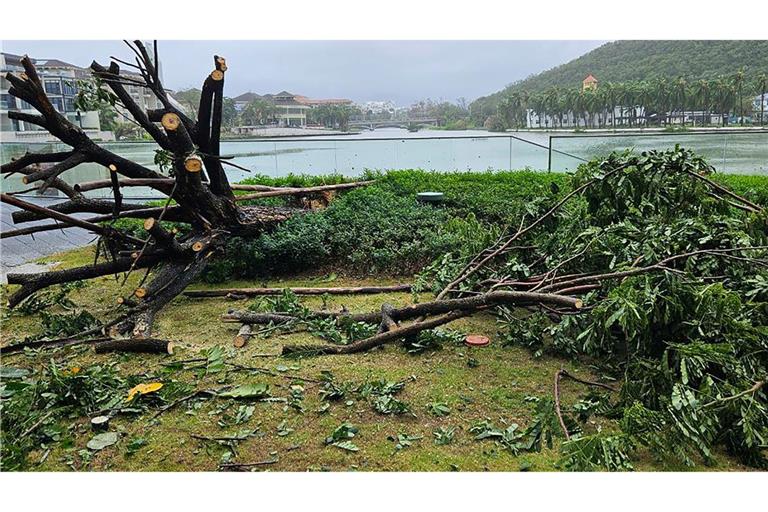 Auf der chinesischen Insel Hainan hat "Kajiki" schon gewütet.