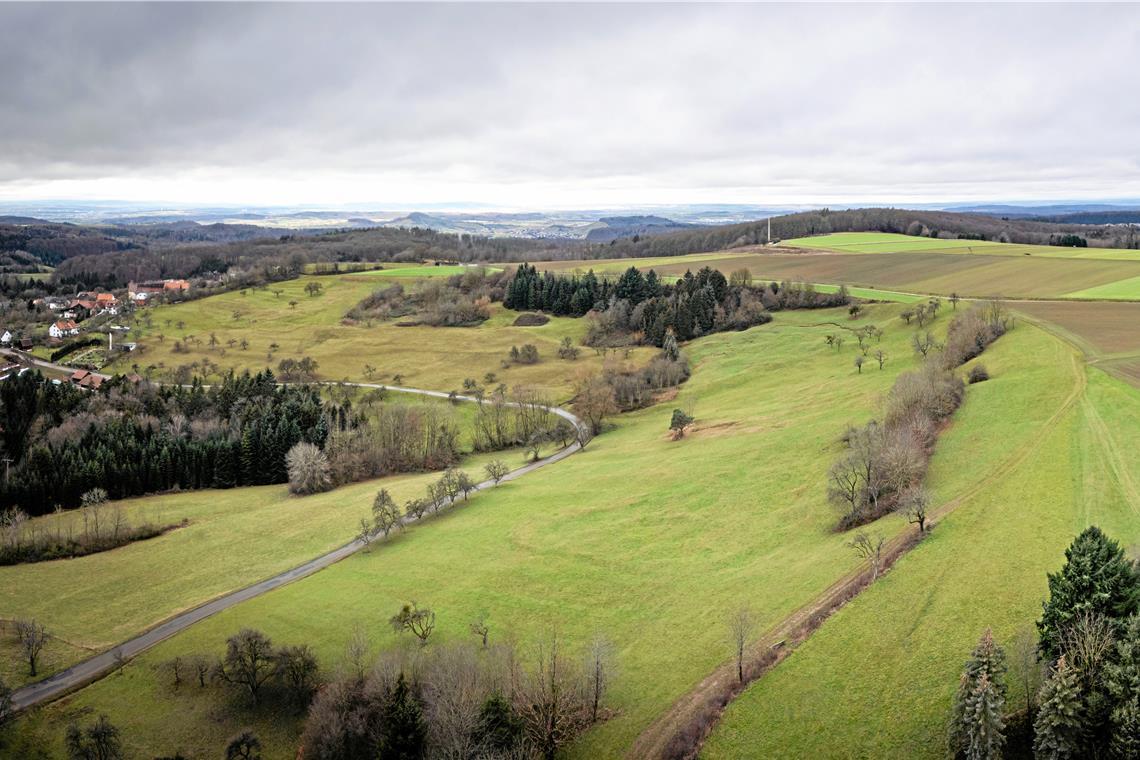 Auf der Nassacher Ebene wollte ein Investor drei Windräder bauen, doch das Vorranggebiet, das dort geplant war, wurde aus dem Regionalplan gestrichen. Foto: Alexander Becher