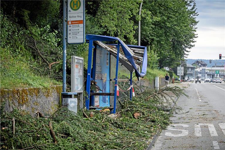 Auf die Bushaltestelle Berliner Ring in der Sulzbacher Straße in Backnang ist ein Baum gefallen. Foto: Alexander Becher