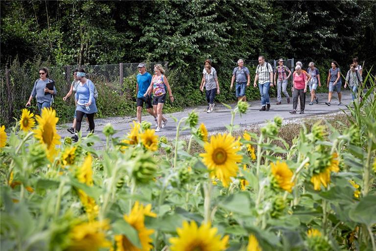 Auf die Wanderer wartet eine rund 8,5 Kilometer lange Strecke, für die etwa drei Stunden eingeplant sind. Archivfoto: Alexander Becher