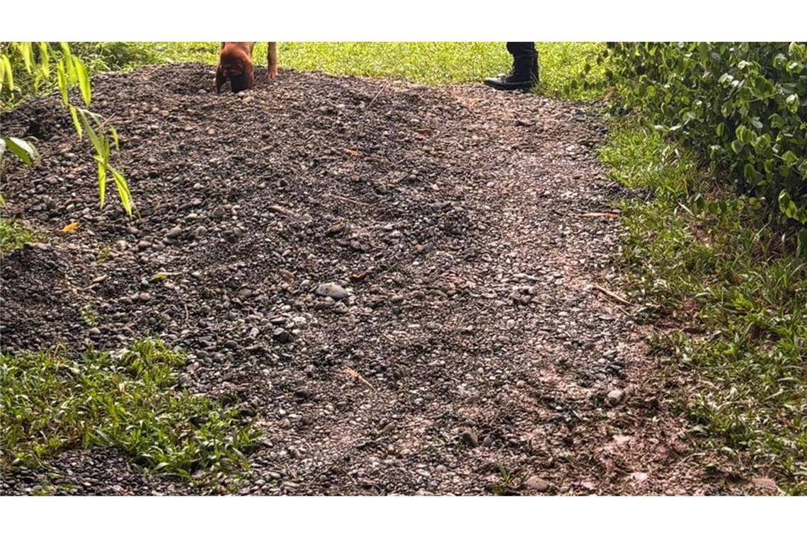 Deutsch-österreichisches Paar in Costa Rica getötet Auf diesem von der costa-ricanischen Ermittlungsbehörde zur Verfügung gestellten Bild ist der Fundort zu sehen.