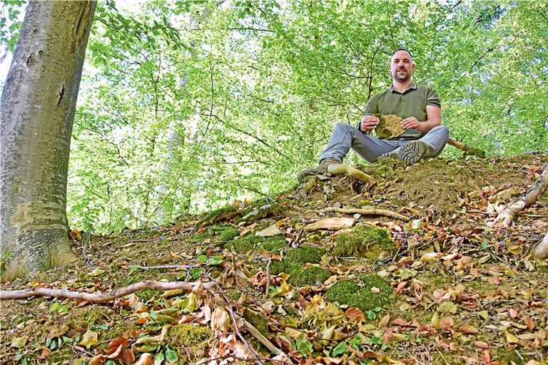 Auf dieser Anhöhe bei Schöntal könnte mal eine Burg gestanden haben. Zahlreiche Steine finden Hobbyhistoriker wie Sven Pfeiffer auch heute noch. Foto: Tobias Sellmaier