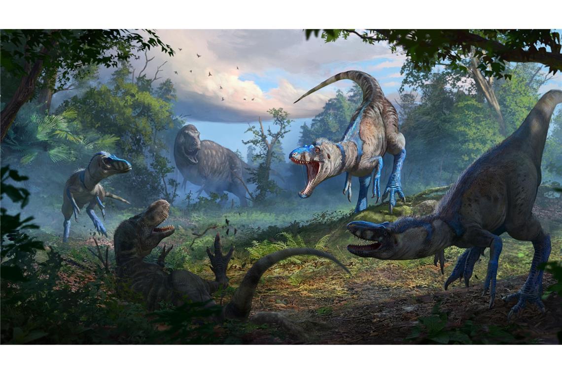Nanotyrannus: Es gab den Mini-T.-rex wirklich Auf dieser Illustration attackiert ein Rudel des Nanotyrannus einen jungen Tyrannosaurus Rex. Eine gründliche Analyse von Dino-Knochen räumt einer aktuellen Studie zufolge mit einem langjäährigen Irrtum um Tyrannosaurus rex auf.