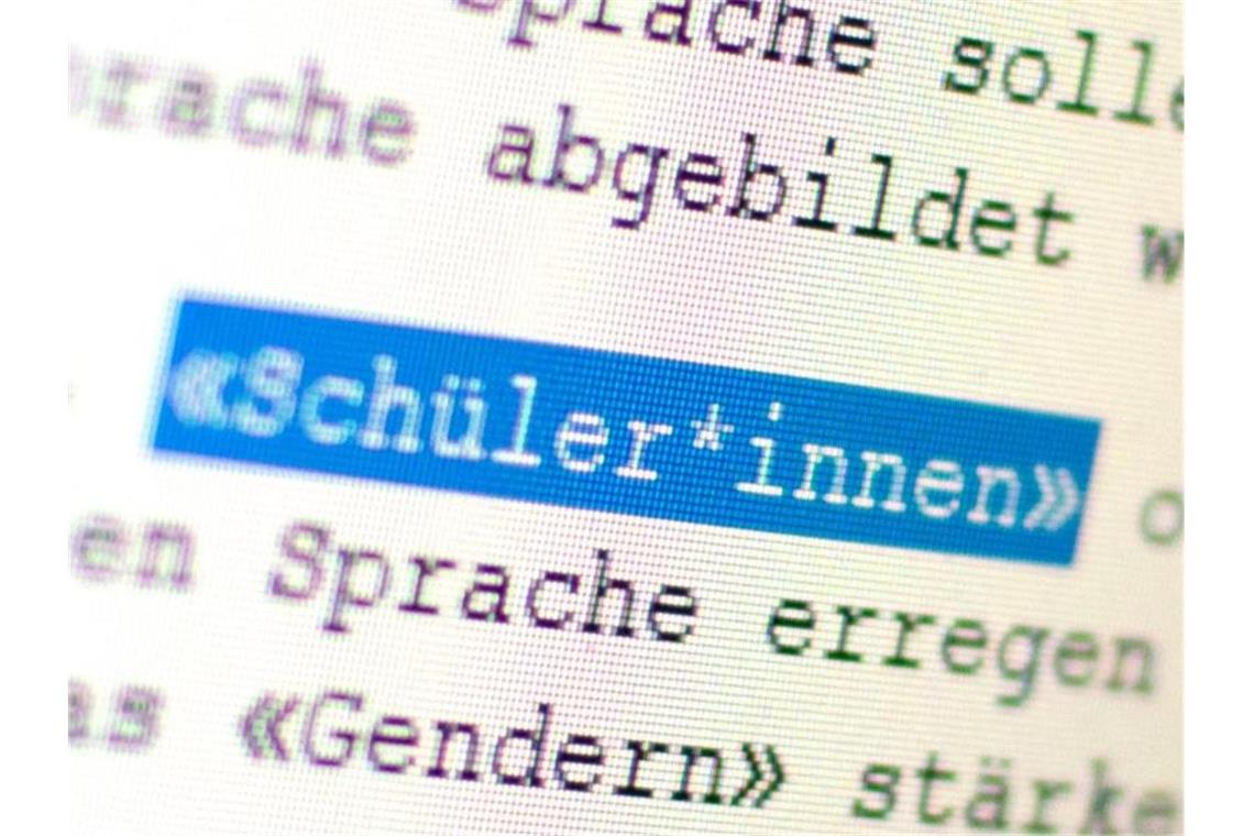 Auf einem Bildschirm ist das Wort „Schüler*innen“ zu lesen. Foto: Gregor Bauernfeind/dpa/Archiv/Symbolbild