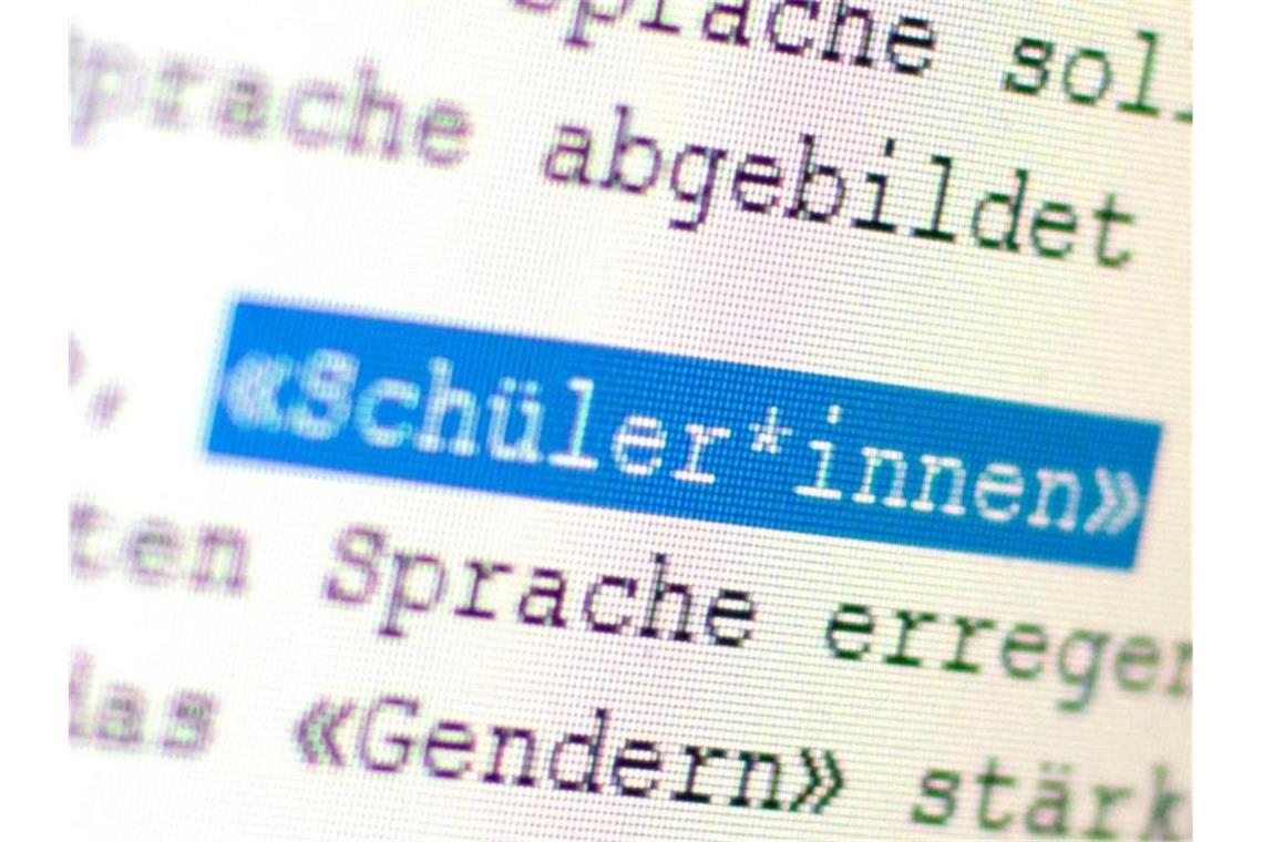 Gendergerechte Sprache an Hochschulen auf dem Vormarsch Auf einem Bildschirm ist das Wort „Schüler*innen“ zu sehen. Foto: Gregor Bauernfeind/dpa/Symbolbild