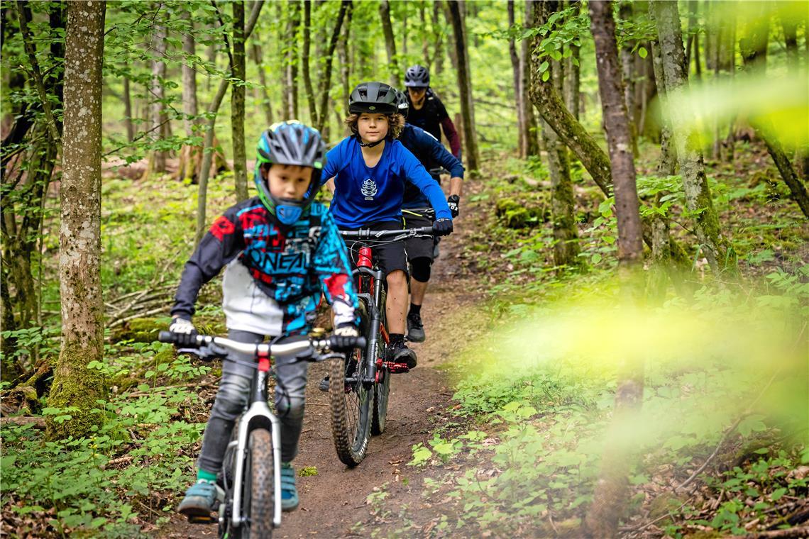 Auf einem der Mountainbiketrails im Plattenwald. Foto: Alexander Becher