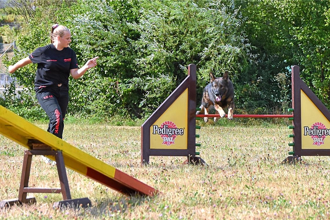 Auf einem kleinen Wiesenstück bei Hohnweiler übt Nikola Egenberger die Hundesportart Agility. Dabei lenkt sie die Schäferhündin nur mit ihrer Stimme und Gesten möglichst schnell von einem Hindernis zum nächsten. Fotos: Tobias Sellmaier