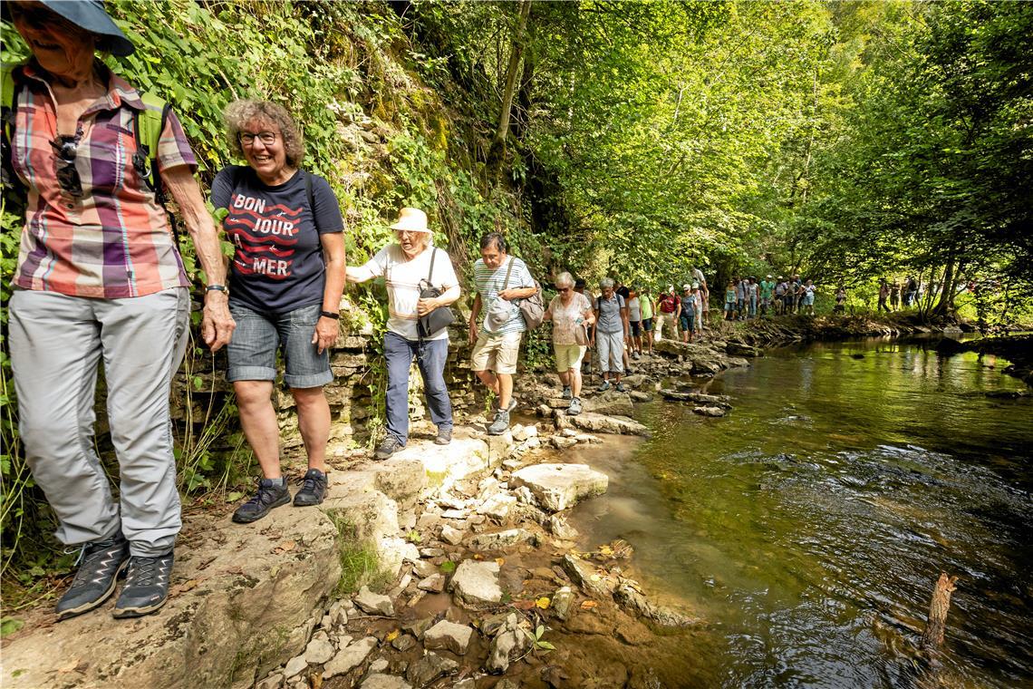 BKZ-Wandertag: Durch das romantische Buchenbachtal Auf einem schmalen Pfad wandern die rund 60 Teilnehmerinnen und Teilnehmer am Bach entlang. Fotos: Alexander Becher