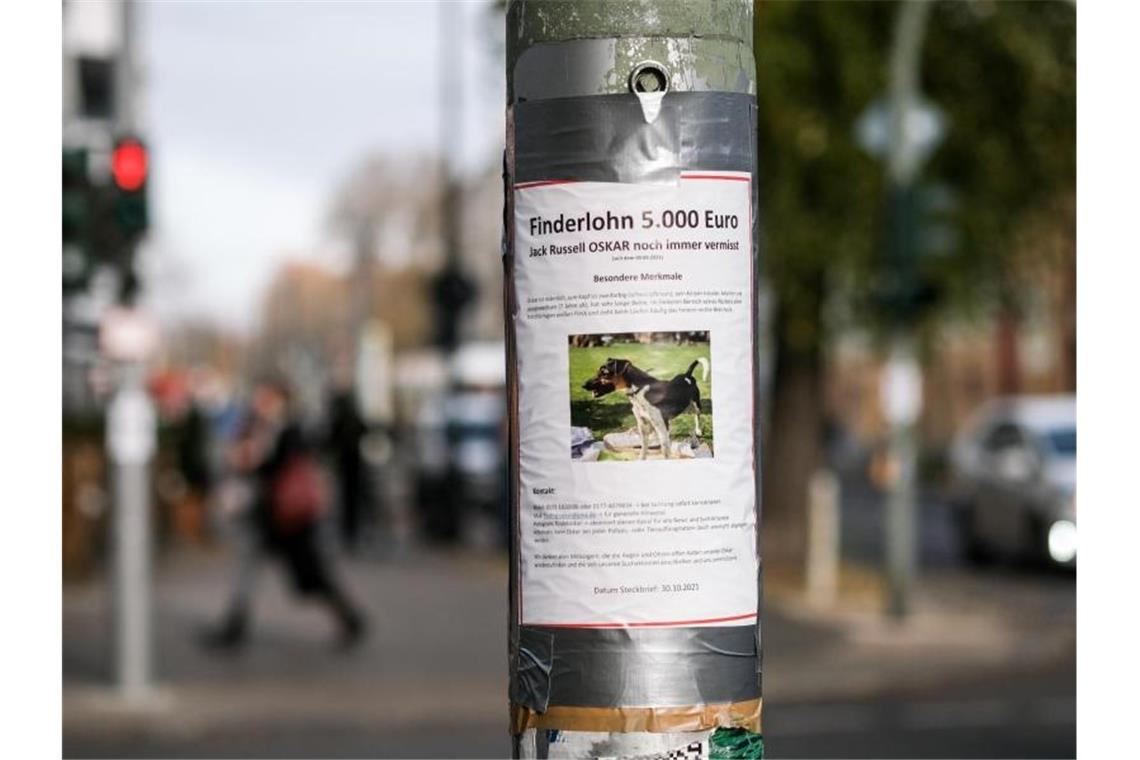 Auf einem Zettel an einem Laternenpfahl in Prenzlauer Berg wird mit einem Finderlohn nach dem vermissten Hund Oskar gesucht. Foto: Jens Kalaene/dpa-Zentralbild/dpa