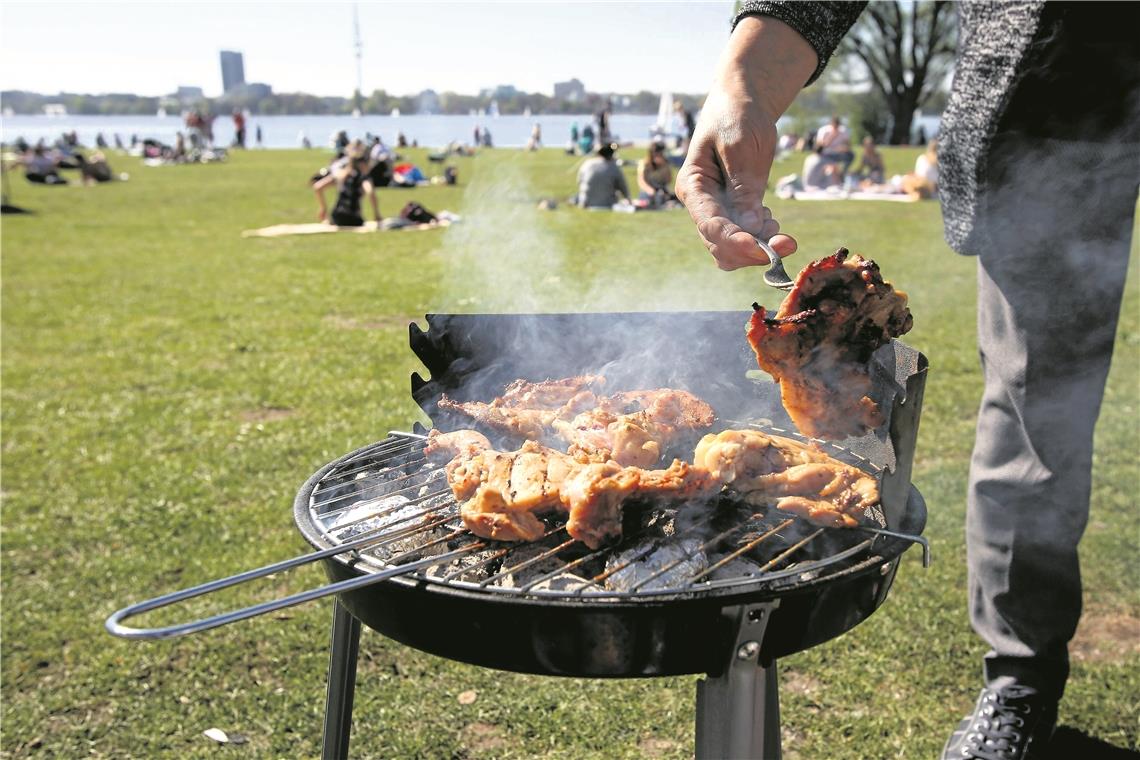 Auf einer öffentlichen Grünfläche den Grill auspacken – das ist in Backnang nicht erlaubt. Foto: Imago