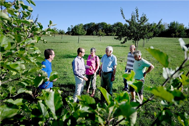 Auf einer Streuobstwiese im Gespräch über die Steinbrucherweiterung (von links): Ingo Sombrutzki, Benjamin Hoffmann, Carola Preuß, Klaus Ruge, Stefan Pelz und Thomas Schult. Foto: W. Kuhnle