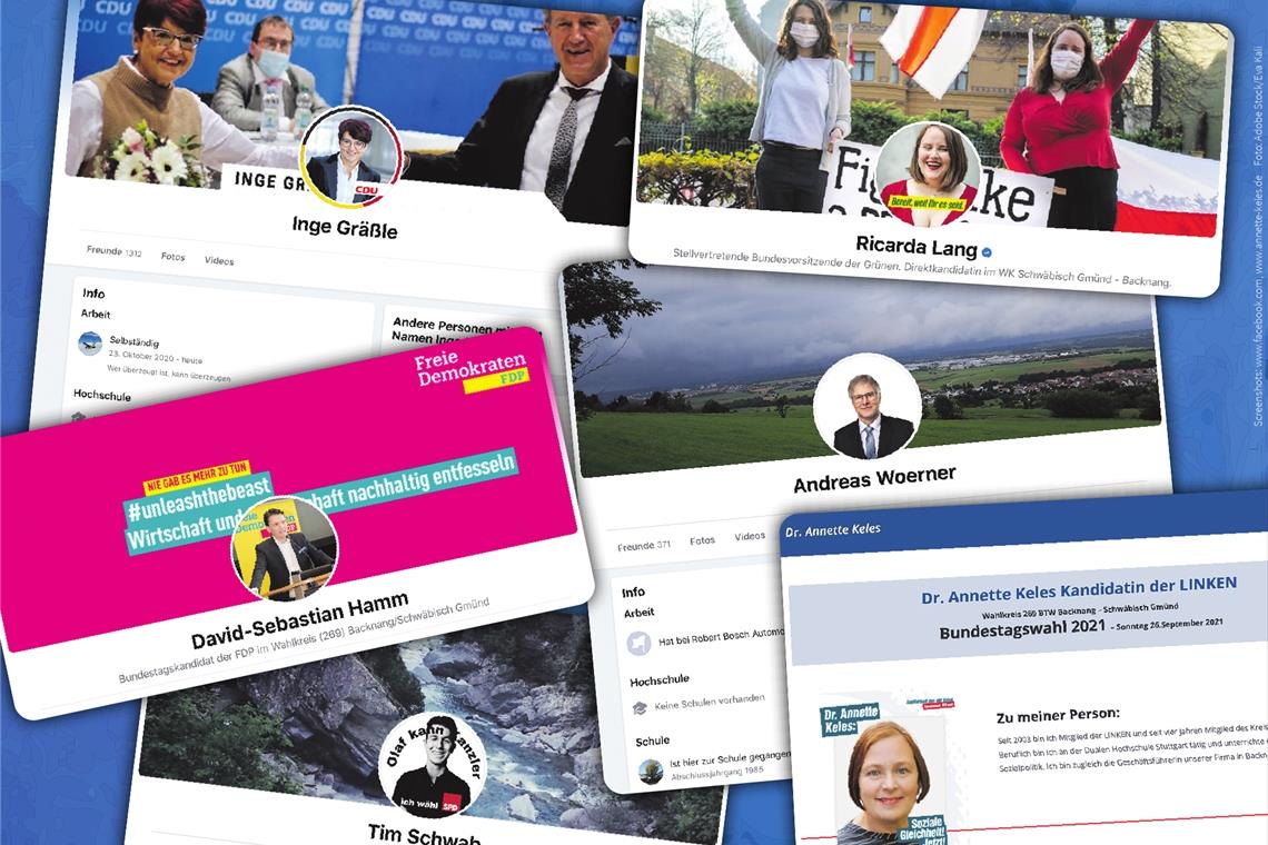 Auf Facebook sind alle Kandidaten der im Bundestag vertretenen Parteien präsent – bis auf Annette Keles. Die Kandidatin der Linken stellt sich den Wählerinnen und Wählern nur auf ihrer Website vor.  Collage: S. Horn