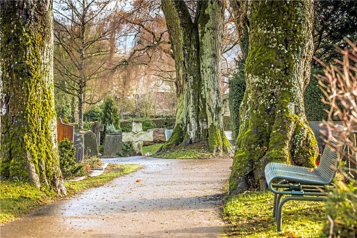 Neue Wege in der Trauerbegleitung Auf Friedhöfen wie in Oppenweiler können Hinterbliebene am Grab verweilen und in Ruhe trauern. Foto: Alexander Becher