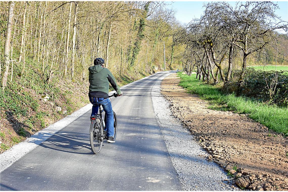 Auf Kirchberger Markung ist zuletzt sogar der Radwegabschnitt von der Talstraße bis zur sogenannten Geisterhöhle saniert worden. Der Ausbau dieser Passage war vergleichsweise einfach. Im Bereich Erbstetten ist die Murraue zum Teil aber unberührte Natur. Foto: Tobias Sellmaier