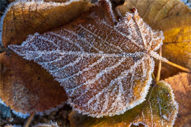 Auf milde Tage folgen frostige Nächte.