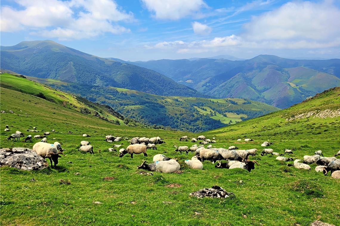 20-Jähriger aus Auenwald pilgert durch Spanien Auf seiner Wanderung sah Fabian satte Wiesen und karge Landschaften und kam auch an zahlreichen geschichtsträchtigen Bau- und Kunstwerken vorbei.
