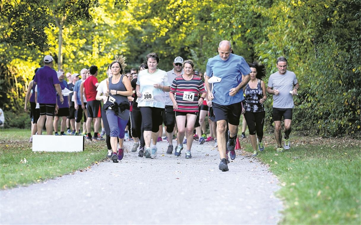 Aufgalopp am Dienstagabend im Plattenwald: Nach dem Aufwärmen drehten die Teilnehmer eine kleine Runde, die erzielten Zeiten sind die Basis für die vorläufige Gruppeneinteilung. Foto: A. Becher