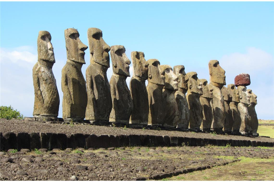 Aufgereiht wie eine Fußballmannschaft stehen die Steinfiguren da. Die Moai sind das touristische Aushängeschild der Osterinsel.