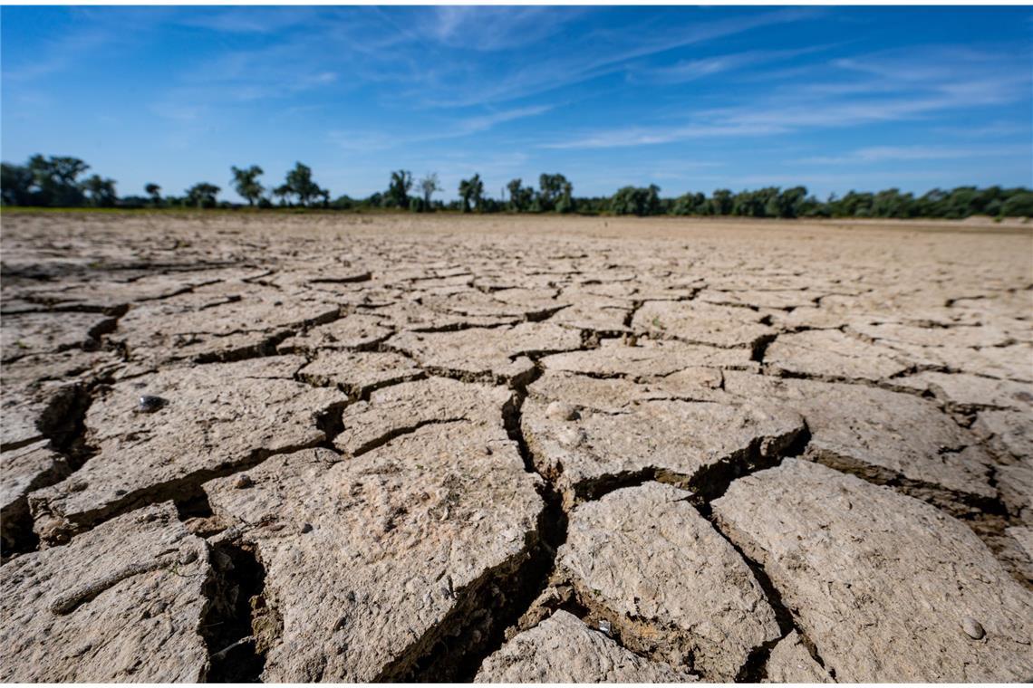 Wie war das Wetter früher? Wie wird es in Zukunft? Aufgerissen und ausgetrocknet ist eine Sandbank an der Niedrigwasser führenden Donau nahe des bayerischen Mariaposching. Über Jahrzehnte hinweg zeigt der Trend beim Gesamtniederschlag in Deutschland nach oben. Trotzdem werden die Böden trockener.