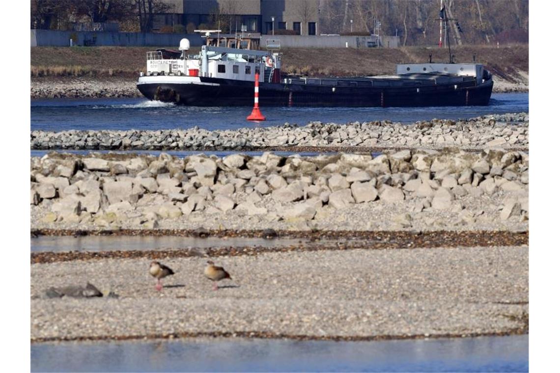 Niedrigwasser im Rhein: Schiffe können nur die Hälfte laden Aufgrund von Niedrigwasser ragen am Rhein bei Karlsruhe Maxau Buhnen und Sandbänke aus dem Wasser. Dahinter fährt ein Schiff vorbei. Foto: Uli Deck/dpa