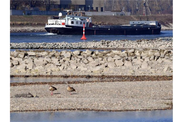 Aufgrund von Niedrigwasser ragen am Rhein bei Karlsruhe Maxau Buhnen und Sandbänke aus dem Wasser. Dahinter fährt ein Schiff vorbei. Foto: Uli Deck/dpa