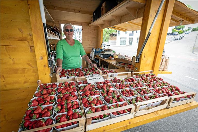 Aus dem Häuschen in der Sulzbacher Straße verkauft Vera Fuchsen heimische Erdbeeren aus geschütztem Anbau. Foto: Alexander Becher